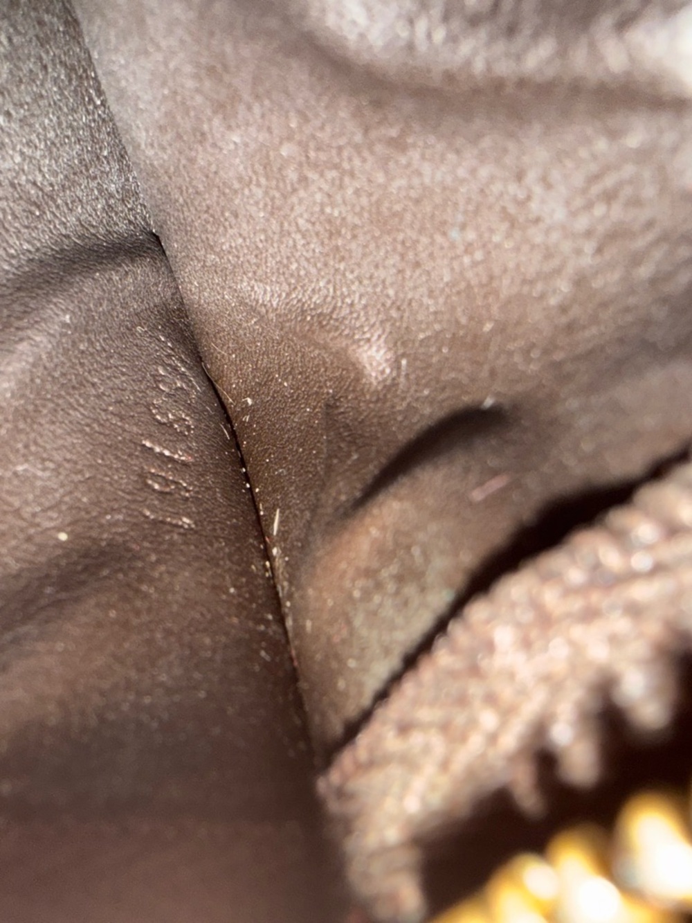 Louis Vuitton Monogram Canvas Zip Pouch in Brown - Picture 4 of 5